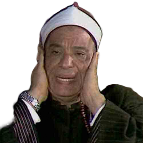 Ali Hajjaj Alsouasi
